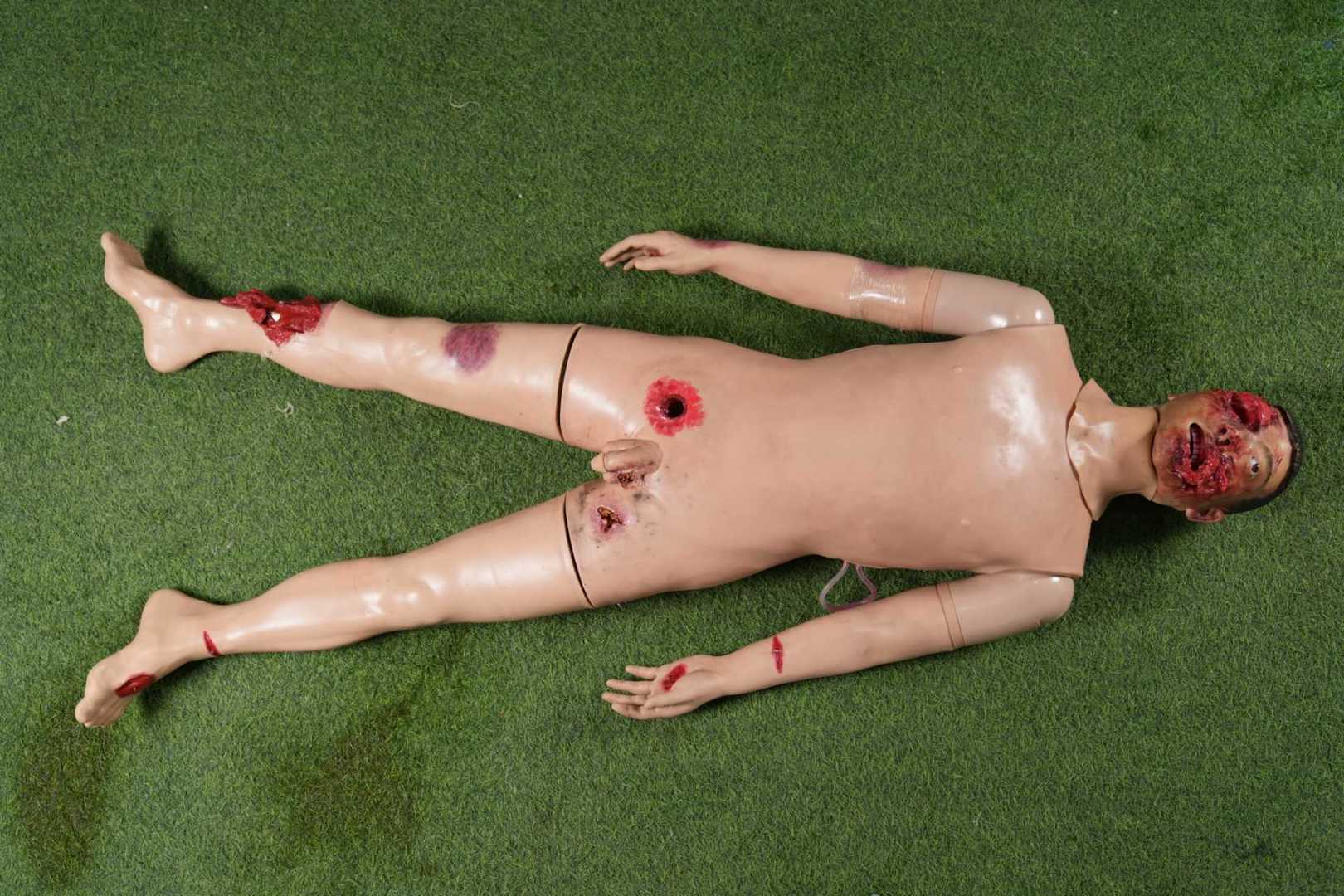 Maxillofacial Trauma & First Aid Manikin